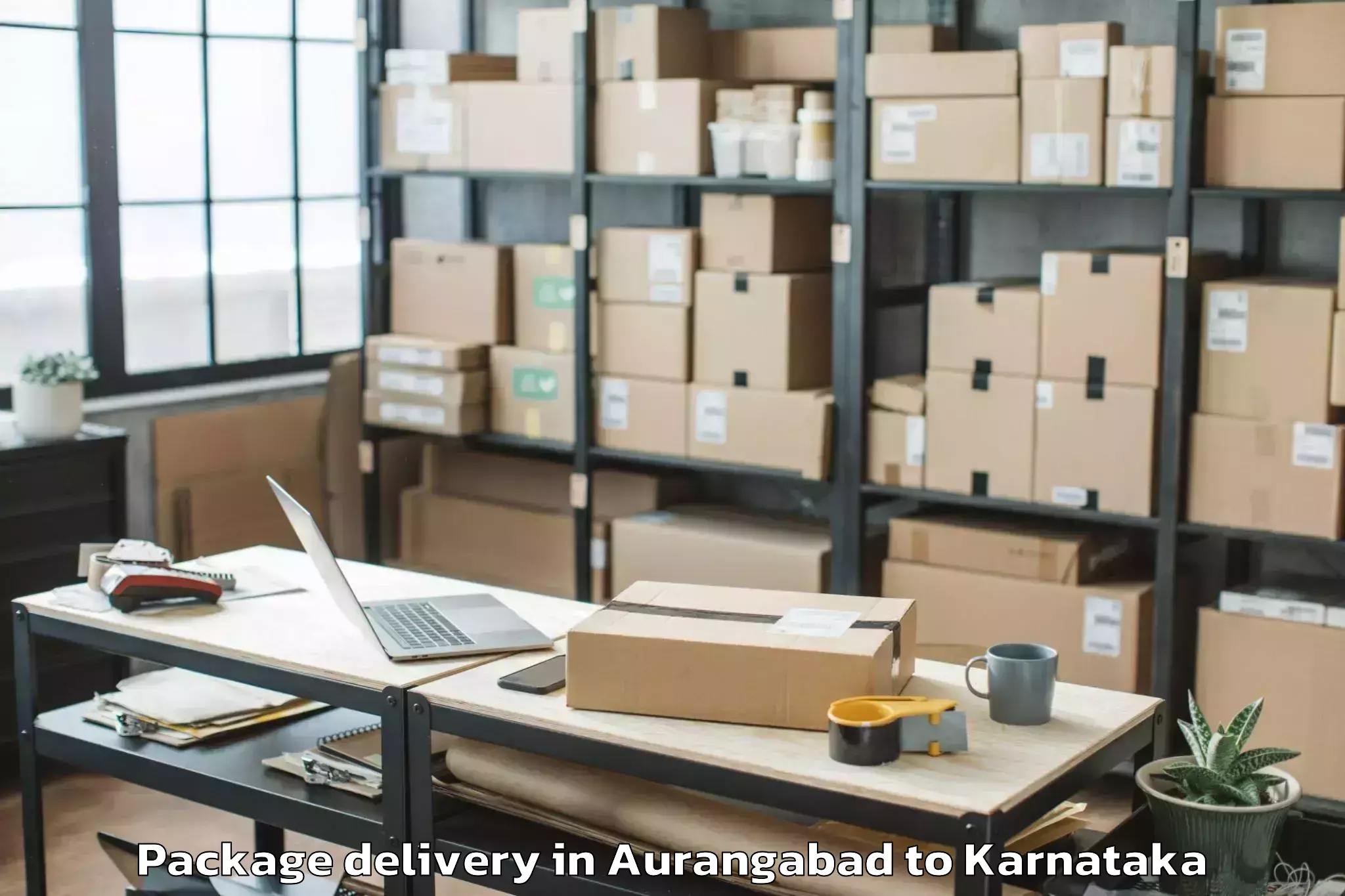 Quality Aurangabad to Hagaribommanahalli Package Delivery